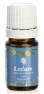 Ledum Essential Oil.doc