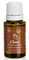 Clove Essential Oil.doc