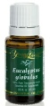 Eucalyptus Globulus Essential Oil.doc